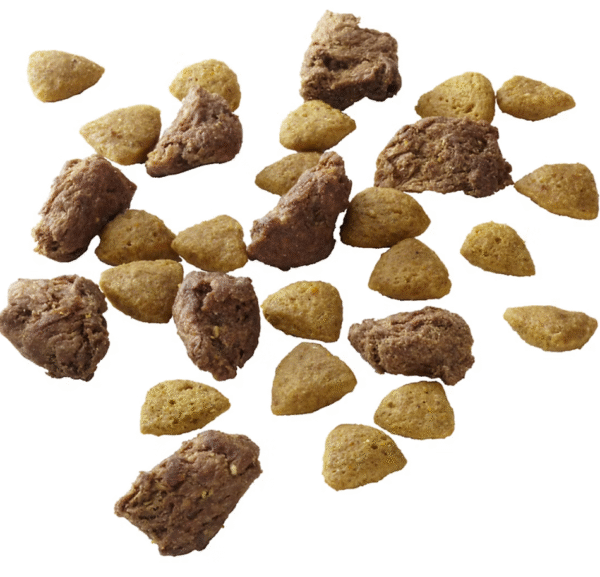 Purina ONE SmartBlend Lamb & Rice Formula Adult Premium Dog Food, 44 lbs. - Image 5