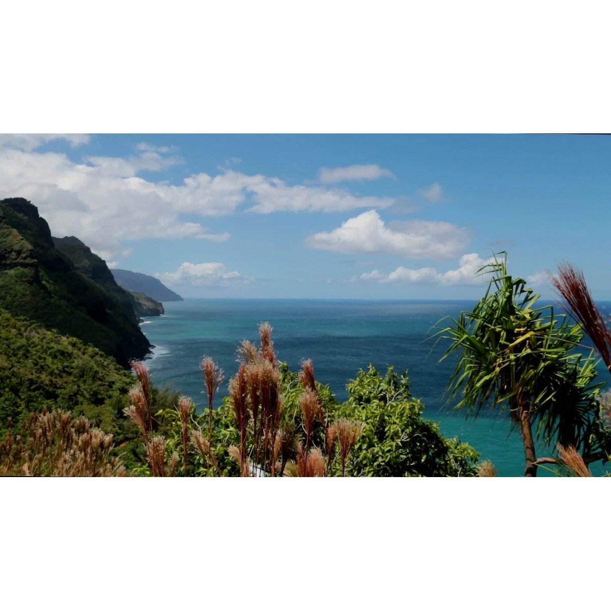Kauai Coffee Koloa Estate Medium Roast Ground Coffee - 100% Hawaiian Coffee- 7oz - Image 6