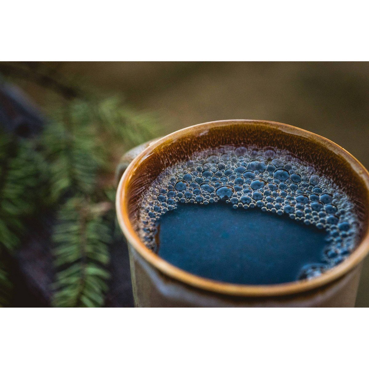 Laird Superfood Medium Roast Ground Organic Coffee with Mushrooms - 12oz: Peruvian, Gluten-Free, Vegan - Image 5