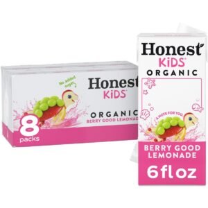 Honest Kids Organic Berry Lemonade Juice Drink - 8pk/6 fl oz Boxes