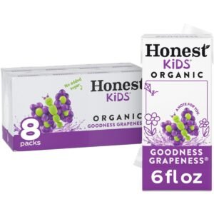 Honest Kids Goodness Grapeness Organic Juice Drink - 8pk/6 fl oz Boxes