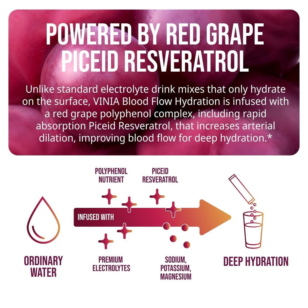 VINIA Blood Flow Electrolyte Drink Mix, Lemon Lime Flavor, Red Grape Piceid Resveratrol Powder, Hydration Support, 30 Stickpacks - Image 5